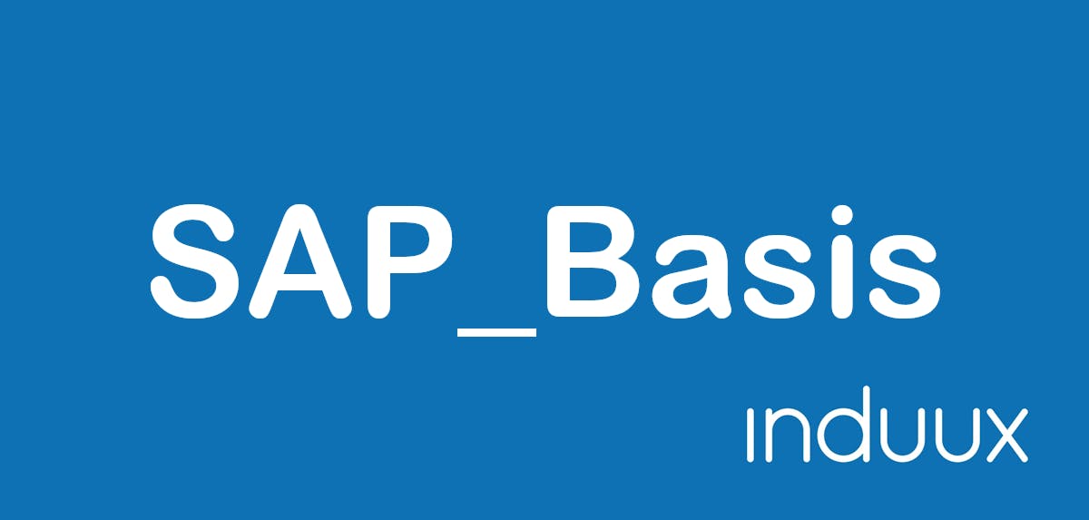 SAP_Basis Zusatzinfo 561