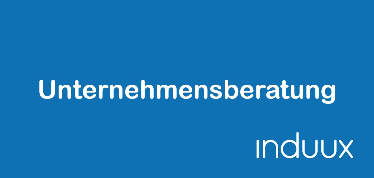 Unternehmensberatung Wie Finde Ich Den Passenden Berater Induux Wiki